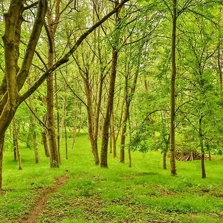 Finest Retreats - Victory Mill - Two Daire Pickering