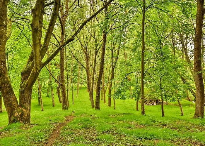Finest Retreats - Victory Mill - Two דירה פיקרינג